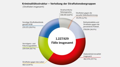 Kriminalitätsstruktur - Verteilung der Straftatenobergruppen (Straftaten insgesamt)