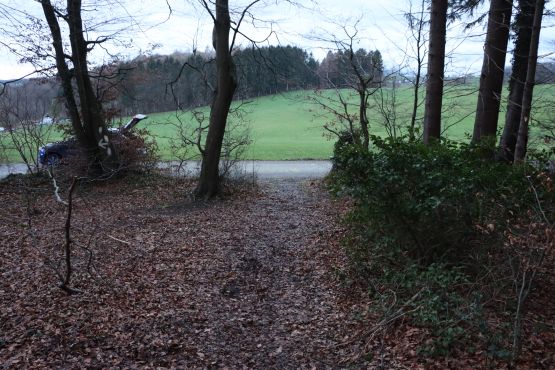 Von diesem Waldweg fuhr der 12-Jährige auf die Straße 