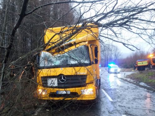 von Baum getroffener LKW