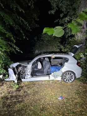 BMW prallte gegen Baum
